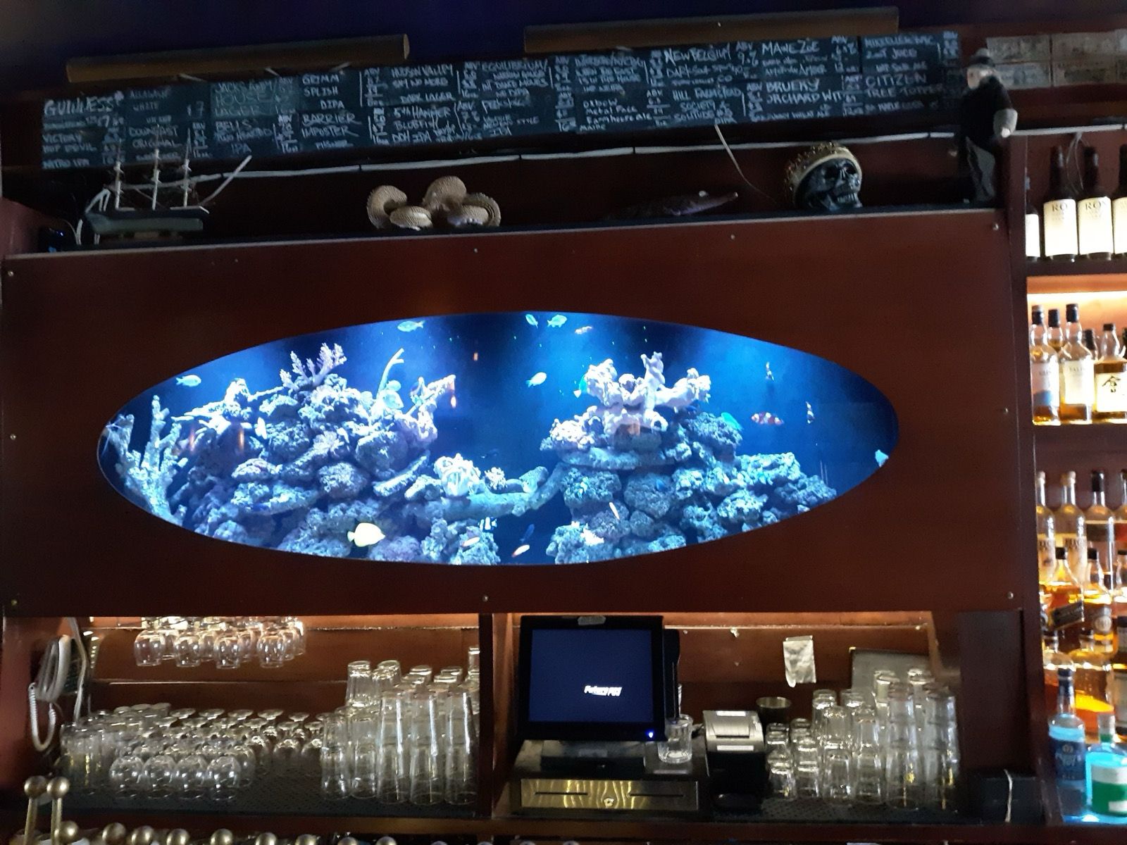 Oval shaped aquarium with coral reef installed in restaurant bar wall in New York City